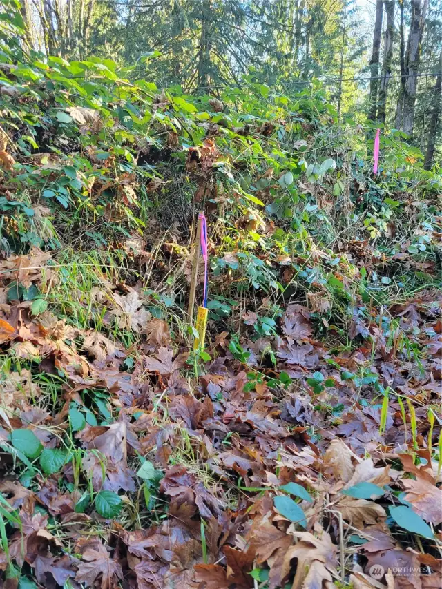 Marker with high ribbon seen from the road.