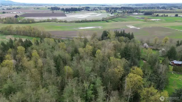 Overhead view of property; looking south