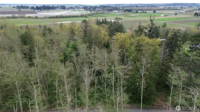 Ariel view of property