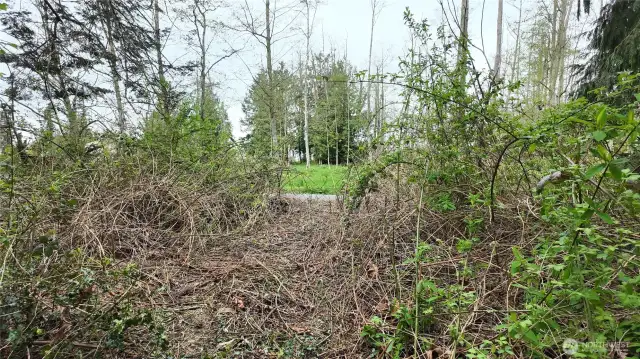 View looking back toward the entrance