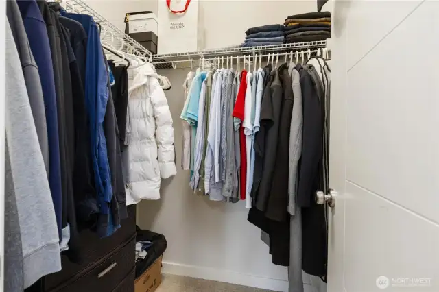 Lower bedroom - walk in closet