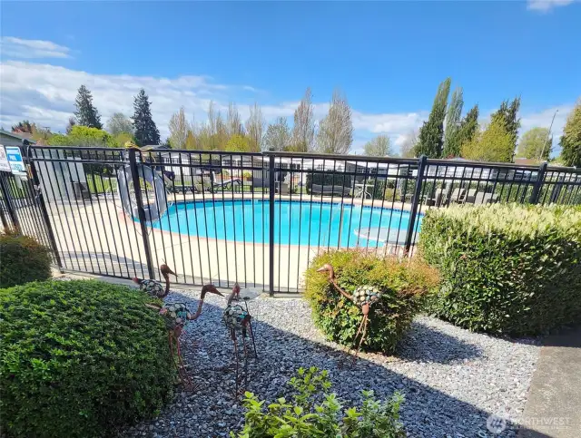 Almost time to start enjoying the pool!!