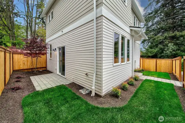 Fenced yard