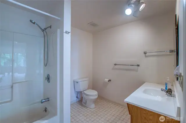 Lower level bathroom