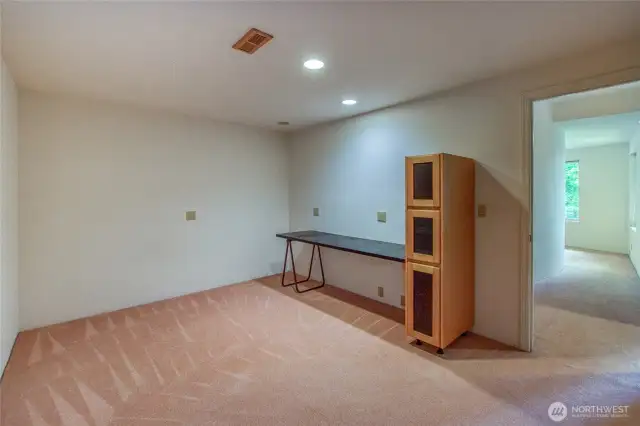 Bonus room on lower level