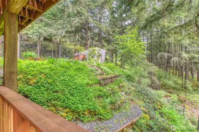 Garden area on west side of home