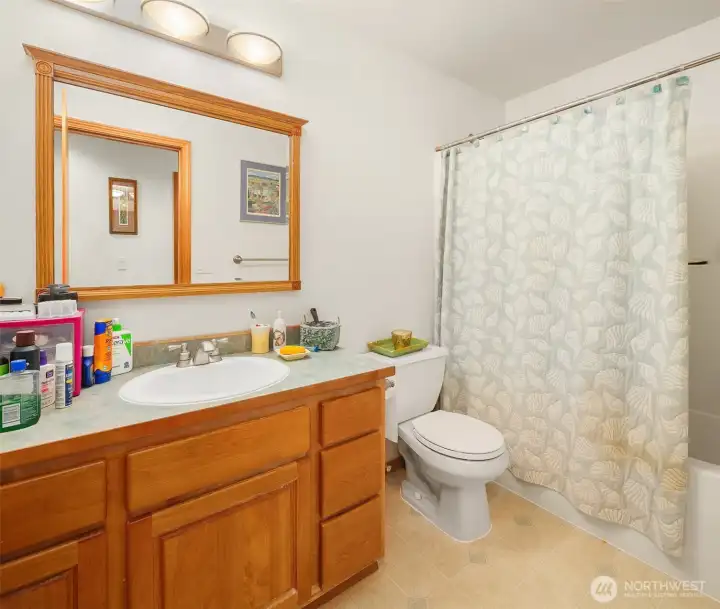 Guest bathroom
