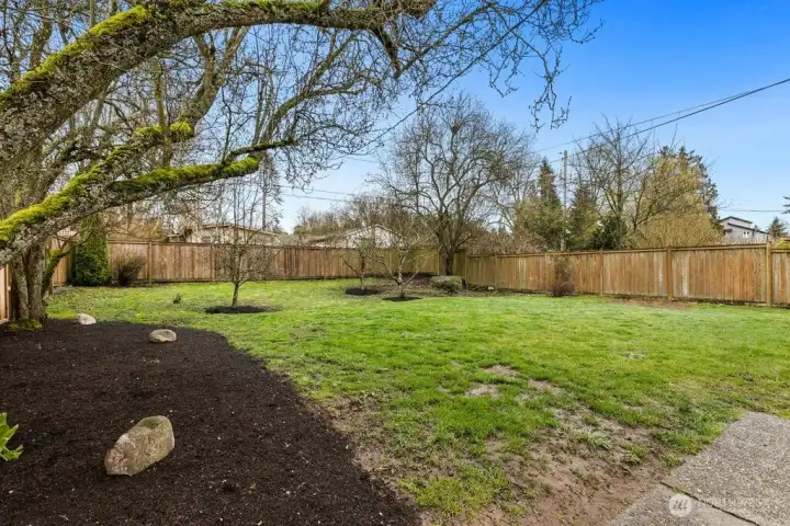 view of large backyard