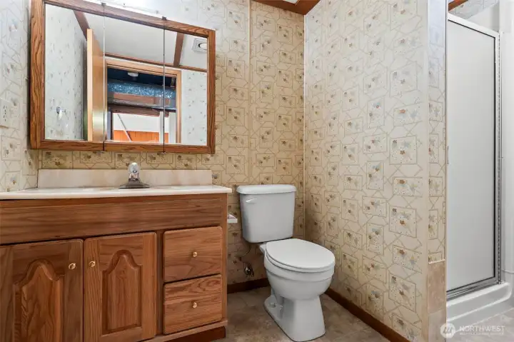 Downstairs bathroom w/shower