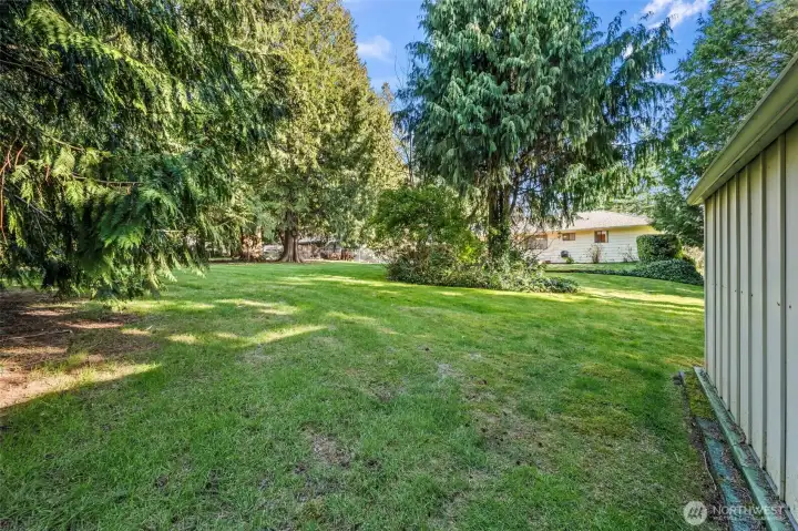 Backyard, next to the shed, looking toward the house