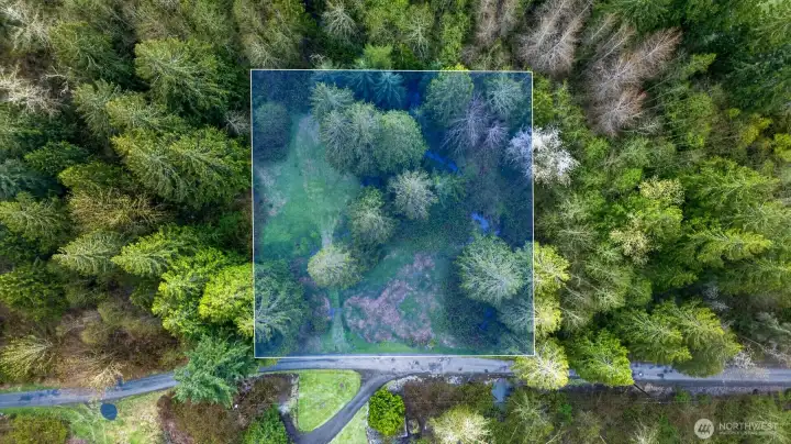 A rare blend of seclusion and natural beauty, with a level, partially cleared homesite surrounded by mature evergreens and serene greenery.