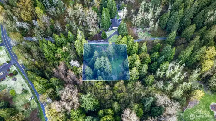 Enjoy a serene, forested setting with convenient proximity to nearby amenities and main roads.