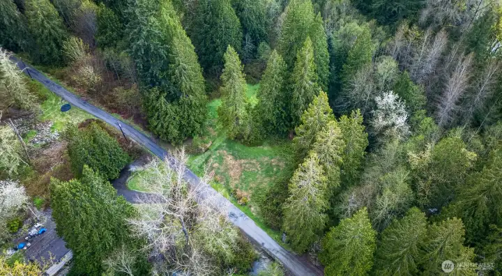 Mature evergreens for privacy and a true Pacific Northwest retreat feel.”
