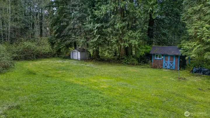 Usable clearing with open grassy space perfect for outdoor living, gardening, or recreation.