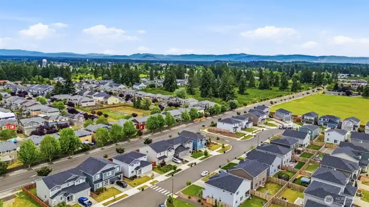 Stunning aerial perspective showcasing the established community with mountain views on the horizon, mature trees, and easy access to parks and open space.