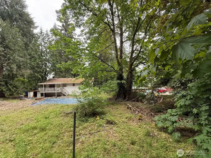 Back of home, huge back yard with swimming pool, potential development/DADU opportunity. Back of home, huge back yard with swimming pool, potential development/DADU opportunity.