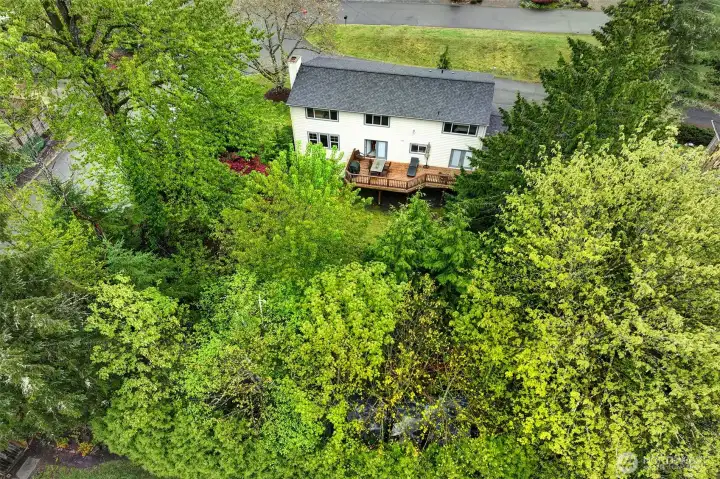 Aerial view of the back of the house. Aerial view of the back of the house.