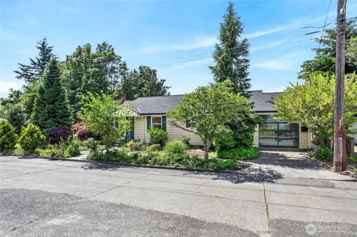 Northrop is a wonderful 1 block long street. The biggest traffic problem is congestion from people walking their dogs to the park! Northrop is a wonderful 1 block long street. The biggest traffic problem is congestion from people walking their dogs to the park!