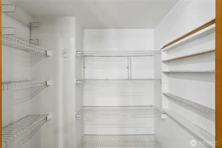 Large pantry space