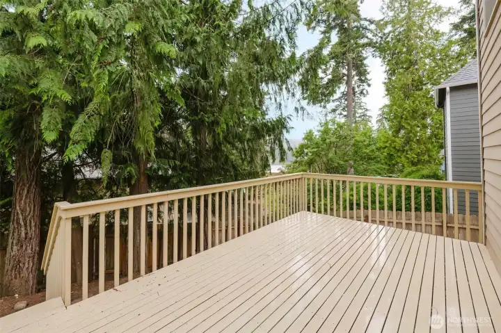 Lets go outside into your back yard. Like I said it is a huge deck. Again a peek-a-boo view of the water to the south southwest. Lets go outside into your back yard. Like I said it is a huge deck. Again a peek-a-boo view of the water to the south southwest.