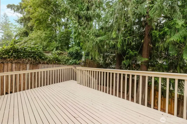 Your cedar tree gives you great shade from the sun and privacy from the neighbors. Your cedar tree gives you great shade from the sun and privacy from the neighbors.