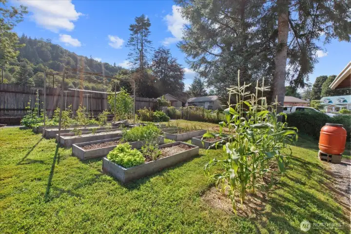Garden raised beds Garden raised beds