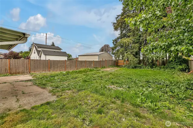 Oversized back yard