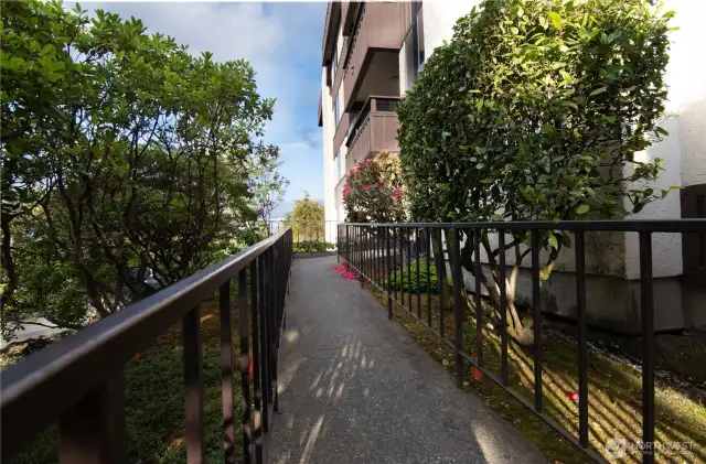 Main Entry Walkway