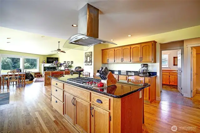 Huge eating bar, tons of storage and walk in pantry near by...