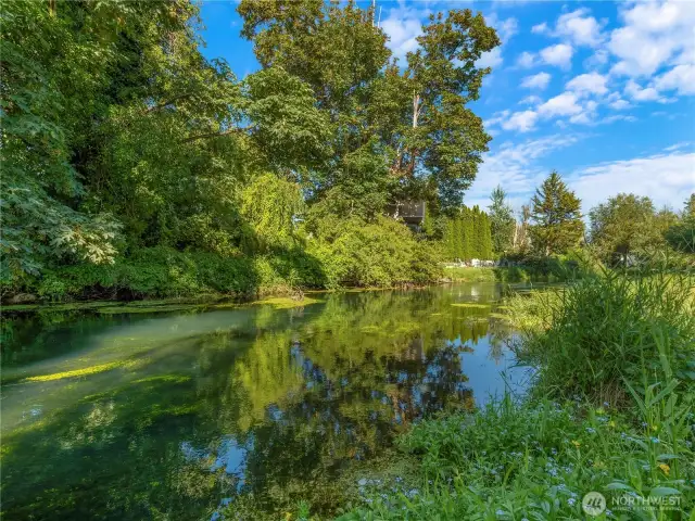 View of Clark's Creek