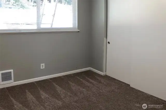 Newer Carpet and Windows