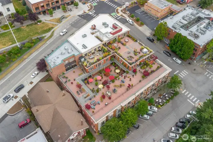 Wonderland of common areas including west-facing rooftop view garden