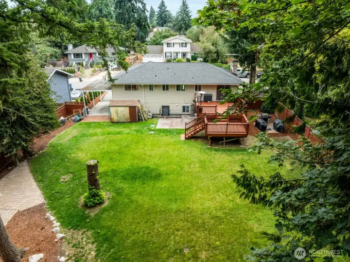 Huge, beautiful, level backyard