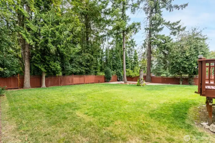Huge backyard