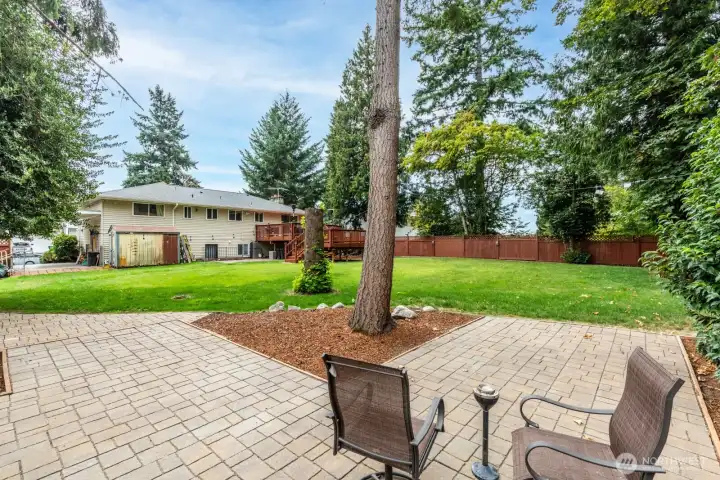 Looking at the back of the house from paved area of backyard