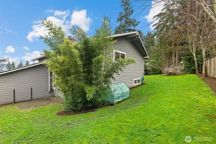Backyard with mature landscaping, showcasing the property’s garden potential and expansive lot layout.