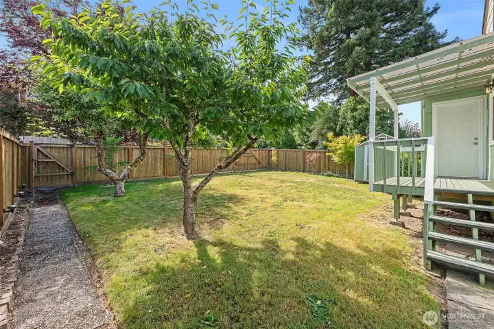 Side view of the house in the backyard