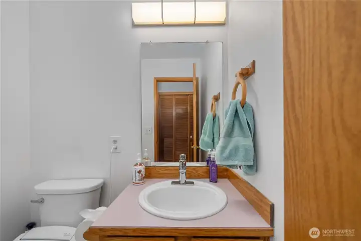 Downstairs half bathroom