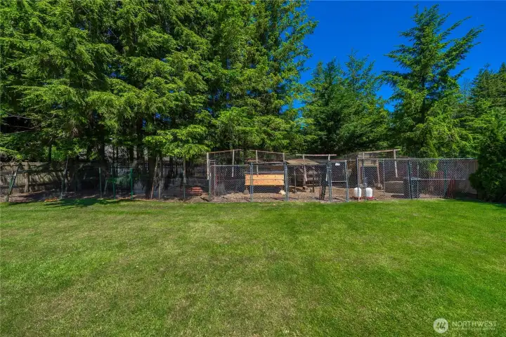 Large chicken coop set for your own personal farm!
