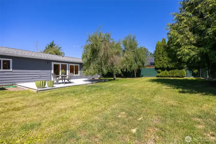 It is so nice to have a level spacious back yard. Fully fenced; accessible through alley gate.