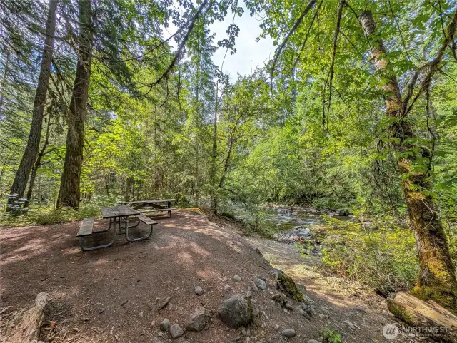 Picnic area in nearby Skate Creek Park