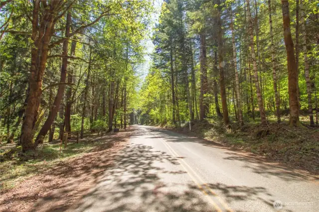 Paved forest road access to property