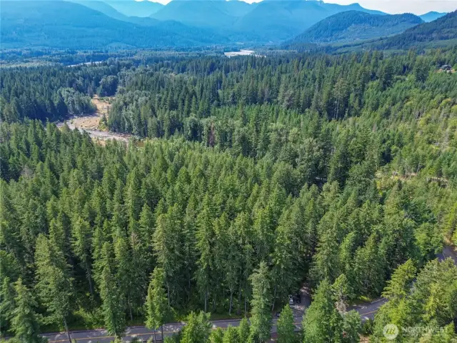 Craig Rd, foreground, looking across Skate Creek to the Cowlitz River Valley