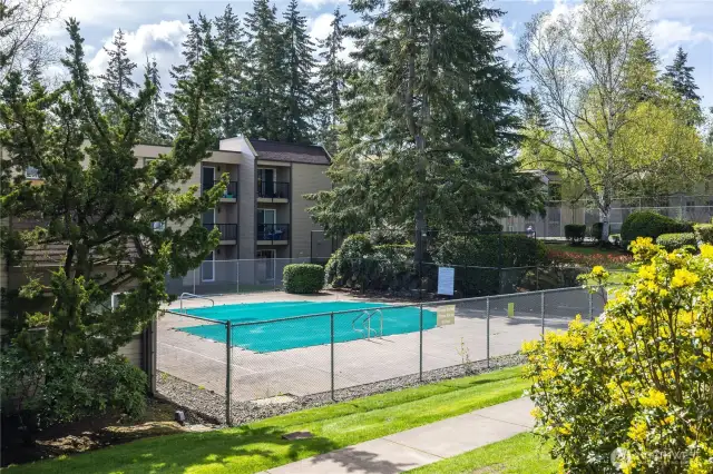 Community pool