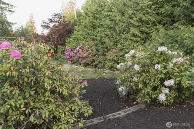 beautiful greenery at the property