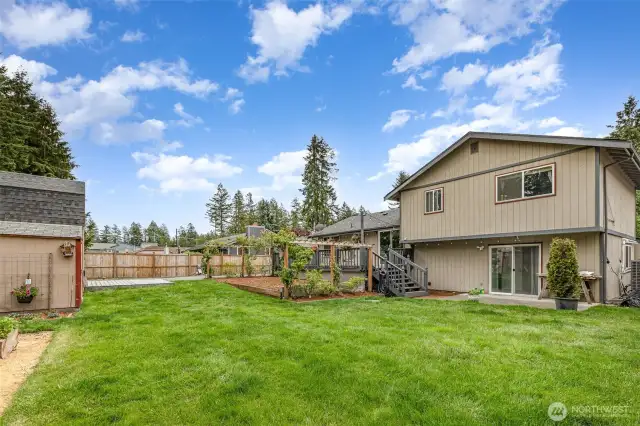 So much room for bbq or pets to roam!