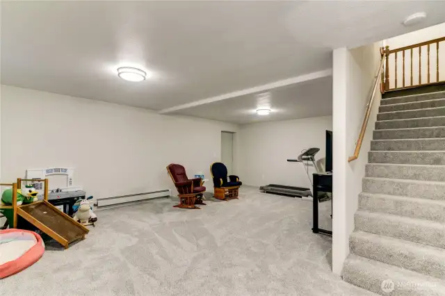 Huge downstairs basement with all new carpet