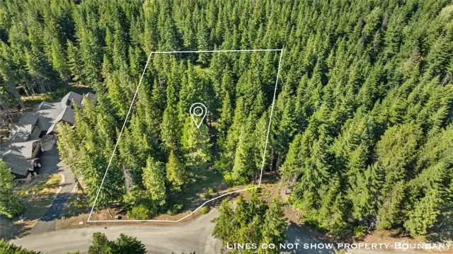 Mature pines add to the mountain feel of the site.