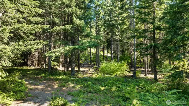 Site backs up to dedicated open space.