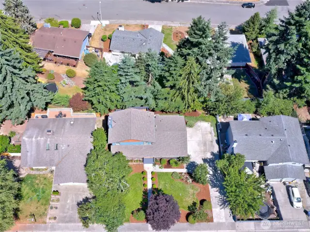Drone view